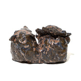 ジャングルビートは知ってる！