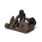 ジャングルビートが連れていく