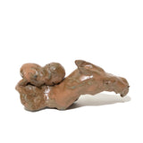 これほどまでに強いのか！～競馬～