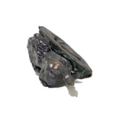 いま、翼を広げた！～競馬～