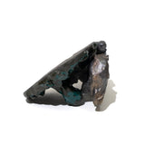 いま、翼を広げた！～競馬～