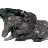 いま、翼を広げた！～競馬～