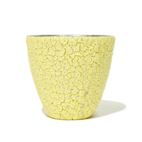 BukuBuku Cup (Platinum)