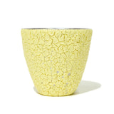 BukuBuku Cup (Platinum)