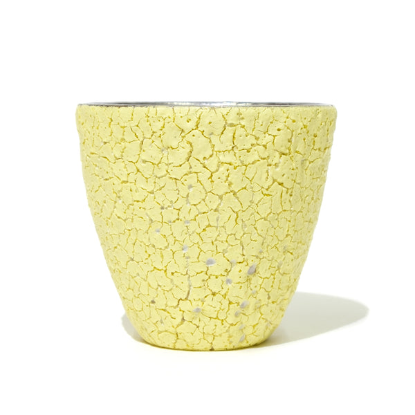 BukuBuku Cup (Platinum)