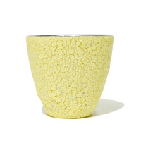 BukuBuku Cup (Platinum)