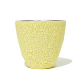 BukuBuku Cup (Platinum)
