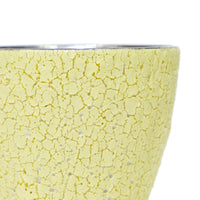 BukuBuku Cup (Platinum)