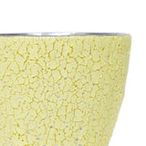 BukuBuku Cup (Platinum)