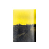 March 2025 : ボール & ビスケット