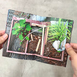 June 2025 : あまり風の吹かない土地