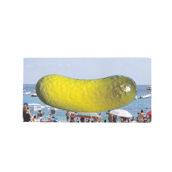 Pickle Flip Book