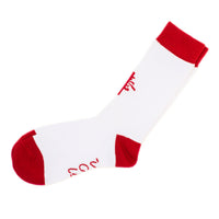 足が棒SOX 1